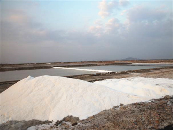 工业盐厂家